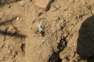 close up photo of sand and soil