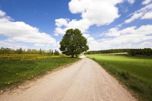 Spring road , countryside photo