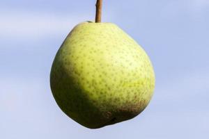 una pera verde foto