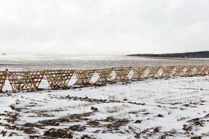 ventisqueros en invierno foto