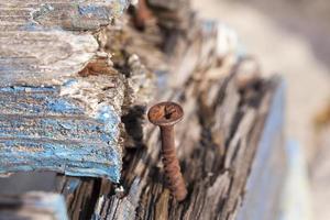 part of the old wooden benches photo