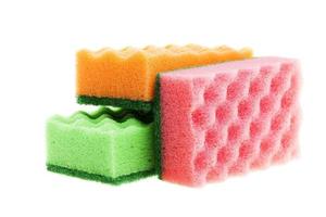 multi  colored sponges photo