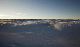 field covered with snow photo