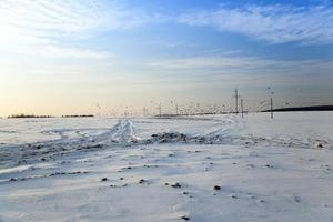 ground near the poles photo