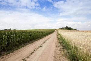 road in a field photo