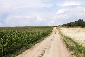 camino en un campo foto