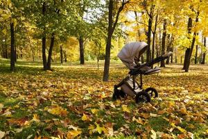 stroller in autumn season photo