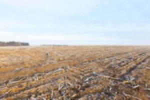 plowed land, frost photo