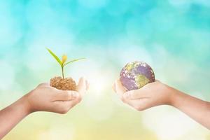Hands holding earth globe and growing seedlings over blurred nature background. Elements of this image furnished by NASA photo