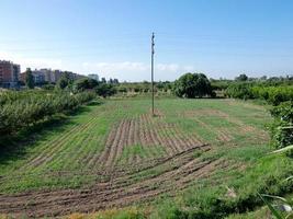 Small orchards in the proximity of a big city photo