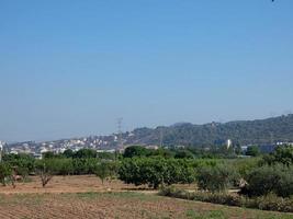Small orchards in the proximity of a big city photo