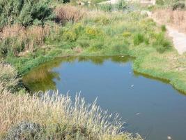 Tramo de un río con vegetación en las orillas del río. foto