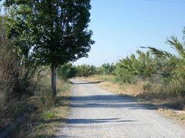 Lonely dirt road with dry vegetation on its sides photo