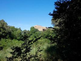 exuberante vegetación en las montañas de collcerola pulmon de la ciudad de barcelona y alrededores, españa foto