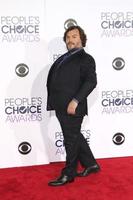 LOS ANGELES, JAN 6 - Jack Black at the Peoples Choice Awards 2016, Arrivals at the Microsoft Theatre L A Live on January 6, 2016 in Los Angeles, CA photo