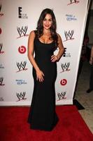 LOS ANGELES, AUG 15 - Nikki Bella at the Superstars for Hope honoring Make-A-Wish at the Beverly Hills Hotel on August 15, 2013 in Beverly Hills, CA photo