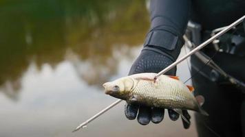 Spear fisherman shows Freshwater Fish at of underwater after hunting in forest river photo