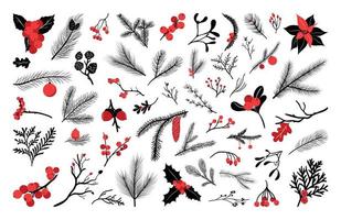 Monochrome Winter Twigs and Berries vector