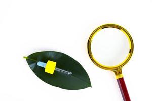 Empty amber glass essential oil bottle with a pipette on a background of green leaves and a magnifier. Copy space photo