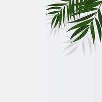 Abstract Realistic Green Palm Leaf Tropical Background. illustration photo