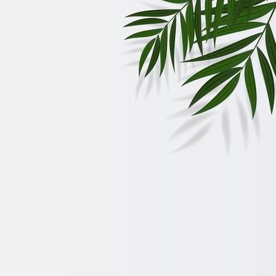 Save The Date Background Stock Photos, Images and Backgrounds for Free