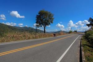 Travel on a motorbike on the roads outside of the city in Thailand. photo