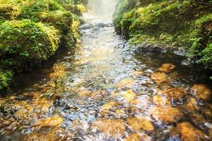 flow water stream over the rock in tropical garden photo