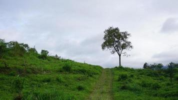 Landscape In The Morning photo