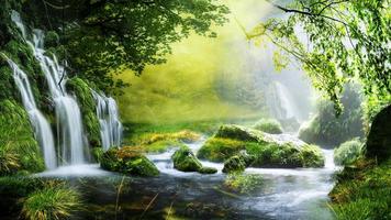 morning mist in the forest - Beautiful landscape - Drawing meadow in tropical forest photo