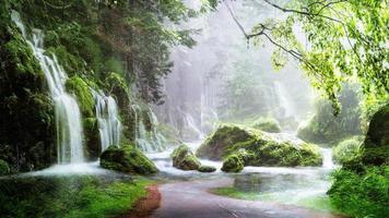 morning mist in the forest - Beautiful landscape - Drawing meadow in tropical forest photo