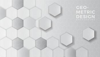 Abstract white and grey hexagon gradient background vector