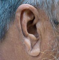 old senior man ear close-up macro shot photo