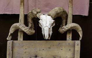 Satanic goat skull photo