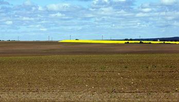 plowed for crop land photo