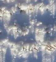 Snow drifts, close up photo