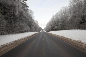 asphalt road, forest photo