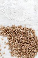 flour and grain photo