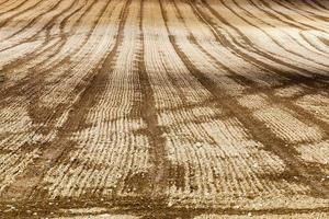 plowed field, close up photo