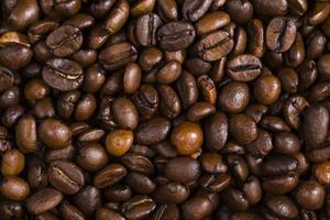 beautiful roasted coffee beans photo