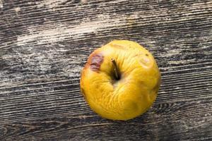 ripe orange apple covered with mold photo