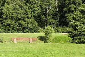 old wooden bench photo