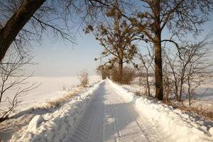 camino en la temporada de invierno foto