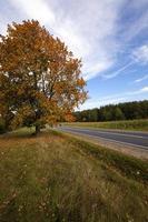 the autumn road photo