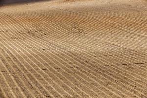 plowed agricultural field photo