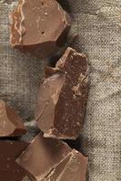 broken into several parts pieces of chocolate from cocoa photo