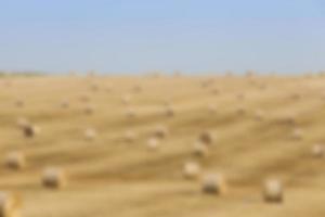 haystacks in a field of straw photo