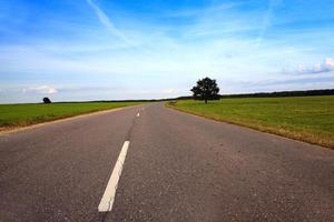 road through the field photo