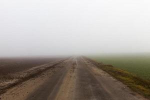 Field in the fog, close up photo