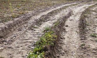 Autumn dirt on the road photo