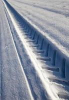 traces on the snow photo